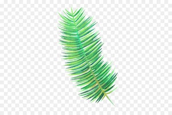 Vector graphics Clip art Image Download Leaf - ferns unfurling 