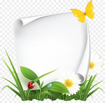 Vector graphics Clip art Image Stock photography - fotoramki illustration 