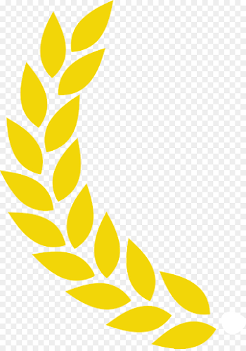 Vector graphics Clip art Laurel wreath Image - design png download ...