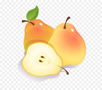 Vector graphics Clip art Portable Network Graphics Fruit Asian pear - articulate cartoon 