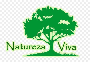 Vector graphics Clip art Root Illustration Tree - tree 