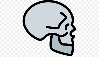 Vector graphics Clip art Stock illustration Image - bonehead pennant 