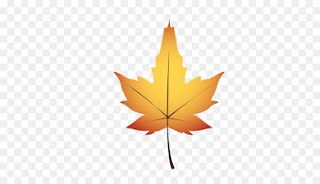 Vector graphics Computer Icons Illustration Image Portable Network Graphics -  
