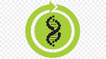 Vector graphics DNA Clip art Royalty-free Computer Icons - banjo map 