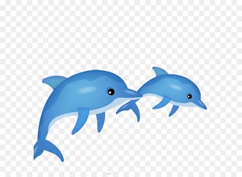 Vector graphics Dolphin Image Clip art stock.xchng - delfin 