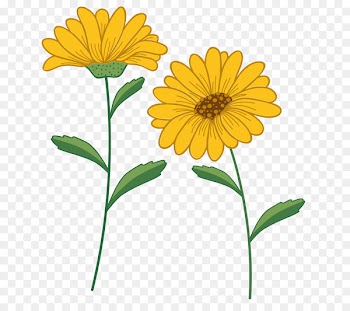 Vector graphics Download Portable Network Graphics Image Microsoft PowerPoint - summarize 