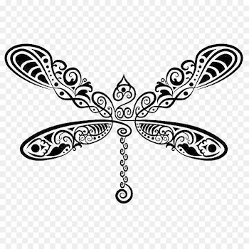 Vector graphics Drawing Dragonfly Insect Illustration - haccho libellule 