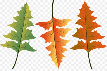 Vector graphics Drawing Leaf Design Tree -  