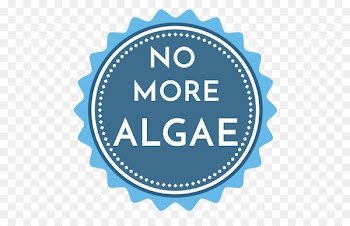 Vector graphics Drawing Lens flare Graphic design Illustration - algae badge 