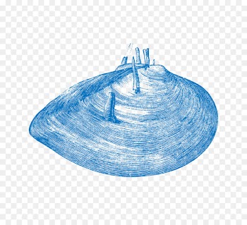 Vector graphics Drawing Seafood Image - blue painting 