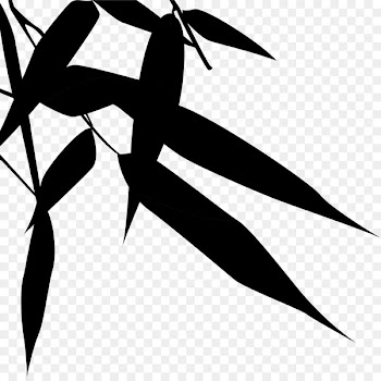 Vector graphics Festival Image Design Zongzi -  