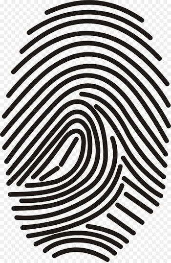 Vector graphics Fingerprint Portable Network Graphics Image scanner - fingerprint pattern 