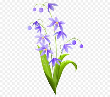 Vector graphics Flower Clip art Royalty-free Illustration - flower 