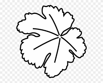 Vector Graphics - Giant Pumpkin Leaf Outline