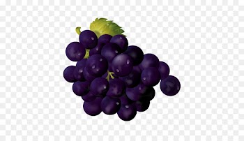 Vector graphics Grape Jam Portable Network Graphics - fruit icon 