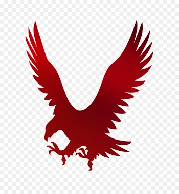 Vector graphics Hawk Illustration Eagle -  