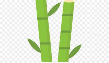 Vector graphics Illustration Bamboo Stock photography Royalty-free - bamboopng ribbon 