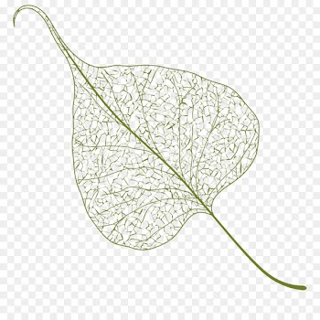 Vector graphics Illustration Banyan Image Stock photography -  