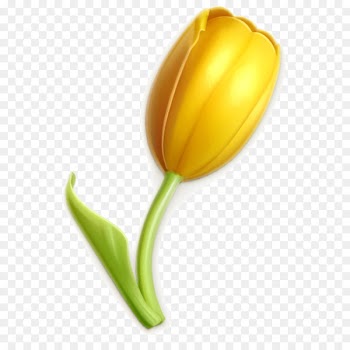 Vector graphics Illustration Stock photography Image Yellow - flower 
