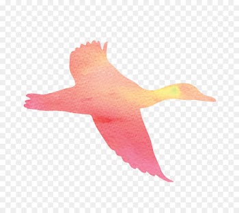 Vector graphics Image Silhouette Portable Network Graphics Cygnini - flying bird 