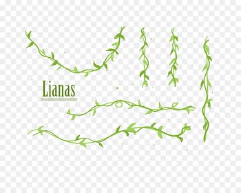 Vector graphics Liana Clip art Illustration Design - epilobium 