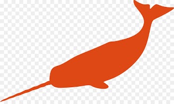 Vector graphics Narwhal stock.xchng Clip art Image - squiggles business 