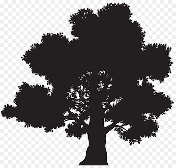 Vector graphics Oak Royalty-free Stock photography Illustration - tree 
