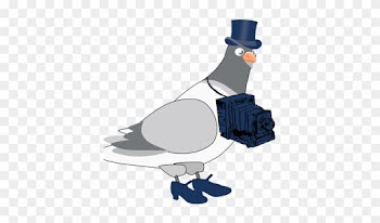 Vector Graphics Of Pigeon With Camera - Pombo Azul Png Transparente