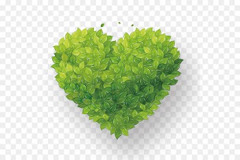 Vector graphics Portable Network Graphics Clip art Image - grass  format 