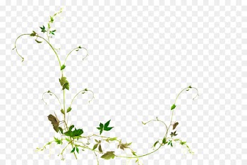 Vector graphics Portable Network Graphics Design Work of art -  