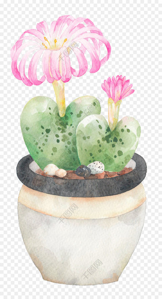 Vector graphics Portable Network Graphics Graphic design Image - blooming cactus 