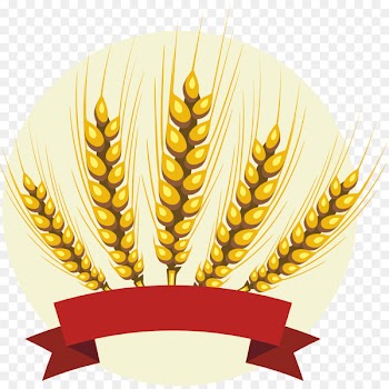 Vector graphics Portable Network Graphics Logo Clip art Cereal - rice 