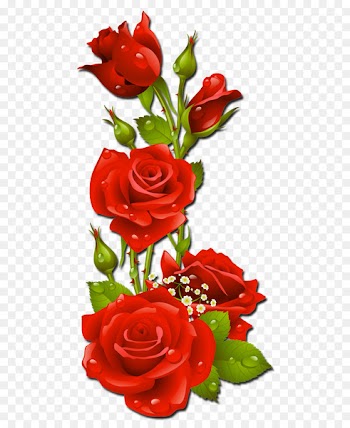 Vector graphics Rose Clip art Flower Stock photography - color pink 