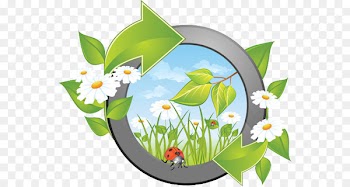 Vector graphics Royalty-free Illustration Stock photography Clip art - naturalists 