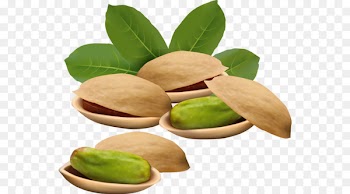Vector graphics Royalty-free Nut Pistachio Illustration -  