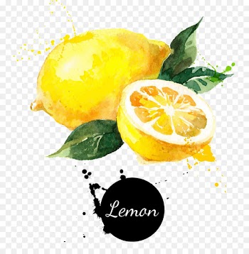 Vector graphics Royalty-free Stock photography Drawing Lemon - lemon background 