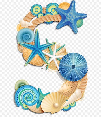 Vector graphics Seashell Letter Alphabet Clip art - seashell 