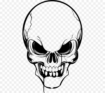 Vector graphics Skull Clip art Image Drawing - skull 
