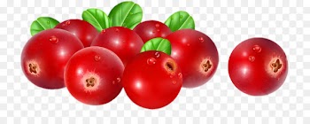 Vector graphics Stock illustration Stock photography Cranberry - cranberries illustration 