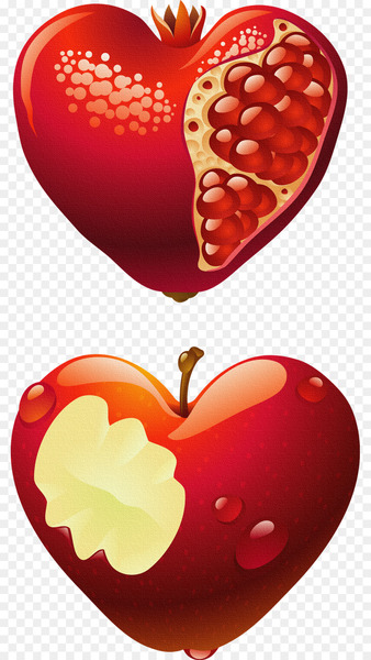 Vector graphics Stock photography Image Royalty-free Illustration - habilitado 