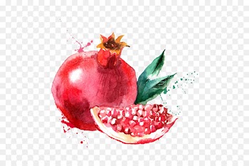 Vector graphics Stock photography Watercolor painting Drawing Illustration - granado 