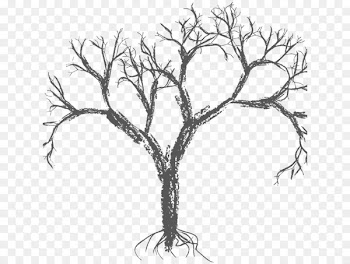 Vector graphics Tree Branch Drawing Image - tree 