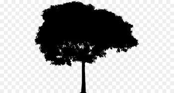 Vector graphics Tree Drawing Image Ecology -  