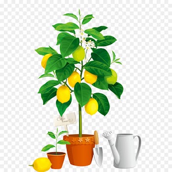Vector graphics Wall decal Stock photography Stock illustration - cartoon water bottle 