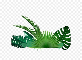 Vector grass 