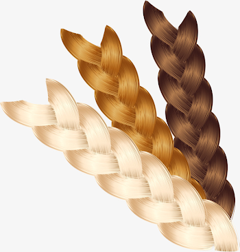 Vector Hand-painted Braids, Vector, Hand Painted, Braid PNG and ...