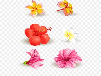 Vector hand-painted flowers 