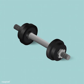 Vector icon of dumbbell icon | Free stock vector - 383519