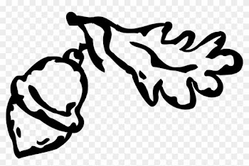 Vector Illustration Of Acorn Hard Shell Seed Nut With - Vector Illustration Of Acorn Hard Shell Seed Nut With