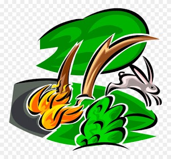 Vector Illustration Of Climate Change Global Warming - Wildfire
